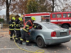 IMG_2169.jpg