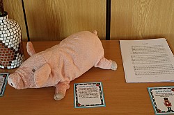 IMG_0058.JPG