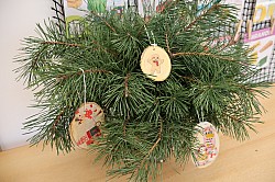 IMG_0084.JPG