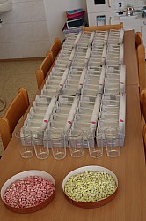IMG_0164.JPG
