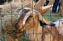 IMG_0180.JPG