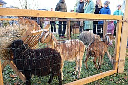 IMG_0181.JPG