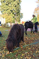 IMG_0185.JPG