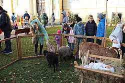 IMG_0186.JPG