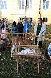 IMG_0188.JPG