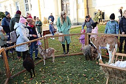 IMG_0189.JPG