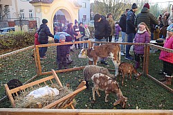 IMG_0200.JPG