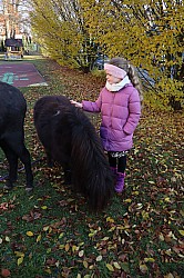 IMG_0202.JPG