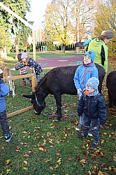 IMG_0203.JPG