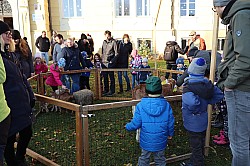 IMG_0206.JPG
