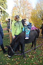 IMG_0208.JPG