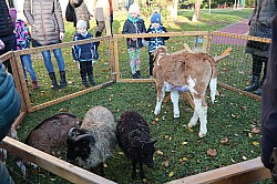 IMG_0209.JPG