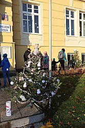 IMG_0211.JPG