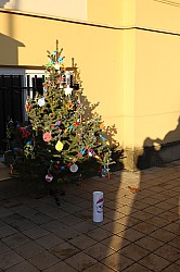 IMG_0212.JPG