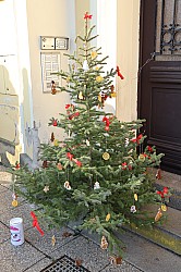 IMG_0215.JPG