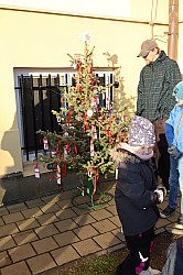 IMG_0216.JPG