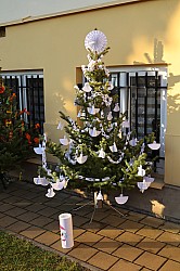 IMG_0217.JPG