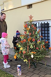 IMG_0218.JPG