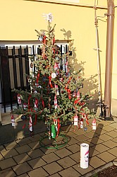 IMG_0221.JPG