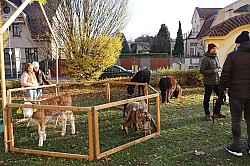 IMG_0317.JPG