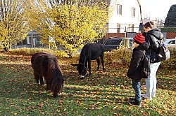IMG_0323.JPG