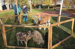 IMG_0325.JPG