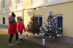 IMG_0332.JPG