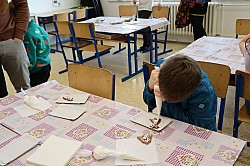 IMG_0389.JPG
