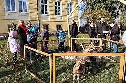 IMG_0433.JPG