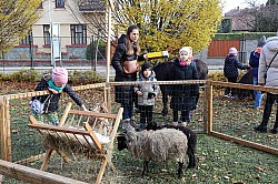 IMG_0444.JPG