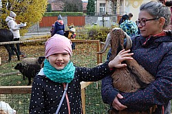 IMG_0448.JPG