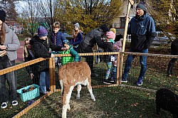 IMG_0449.JPG
