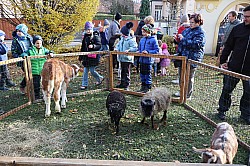 IMG_0452.JPG
