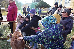 IMG_0453.JPG