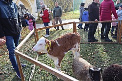 IMG_0454.JPG