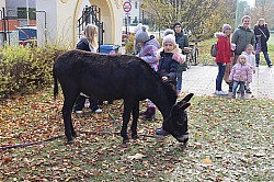 IMG_0456.JPG