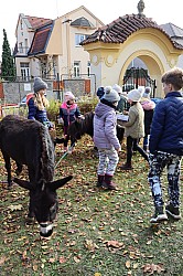 IMG_0457.JPG