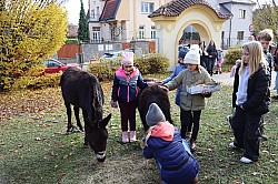 IMG_0458.JPG