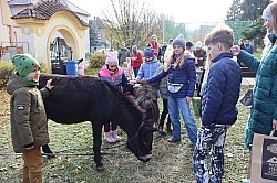 IMG_0459.JPG