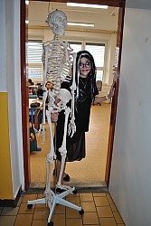 DSC_0508.JPG
