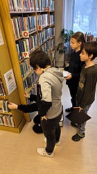 IMG_20250214_101626.jpg