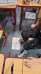 IMG_20250218_122504.jpg