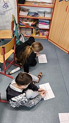 IMG_20250218_122535.jpg